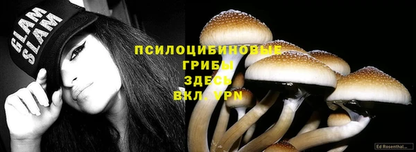 ПСИЛОЦИБИНОВЫЕ ГРИБЫ Арсеньев