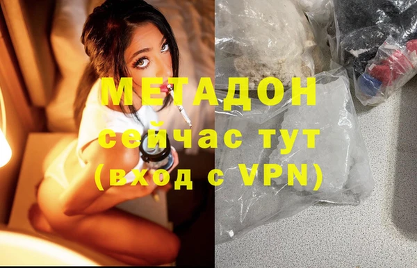 ПСИЛОЦИБИНОВЫЕ ГРИБЫ Арсеньев