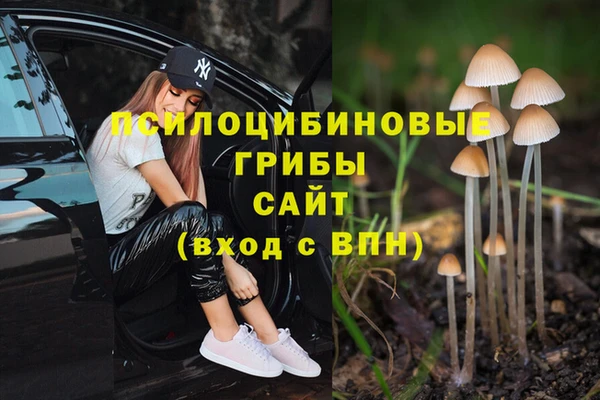 ПСИЛОЦИБИНОВЫЕ ГРИБЫ Арсеньев