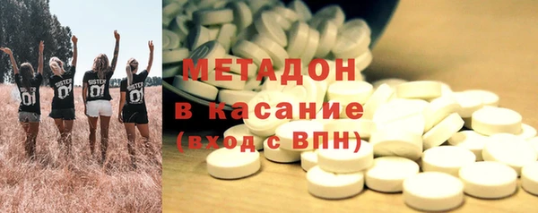 ПСИЛОЦИБИНОВЫЕ ГРИБЫ Арсеньев